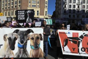 Protesta en contra de la Ley de Proteccion Animal para reclamar incluir a todo animal como los perros de caza. Imag. archivo. EFE Lerena